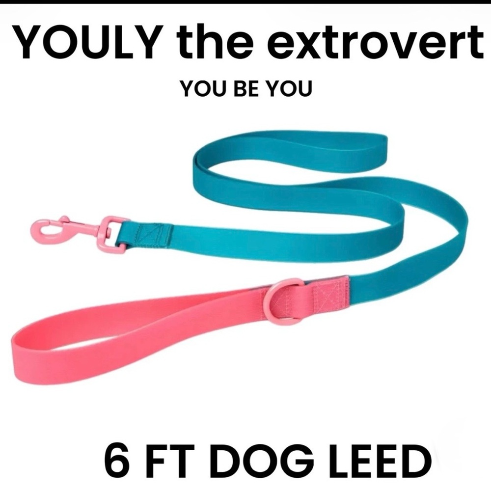 Youly The Extrovert Water-Resistant Teal & Pink Colorblocked Dog Leash, 6 ft